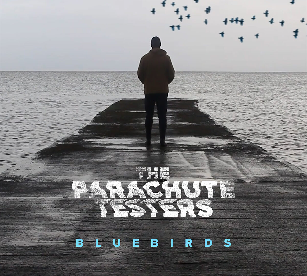 The Parachute Testers take flight with new anthem “Bluebirds”
