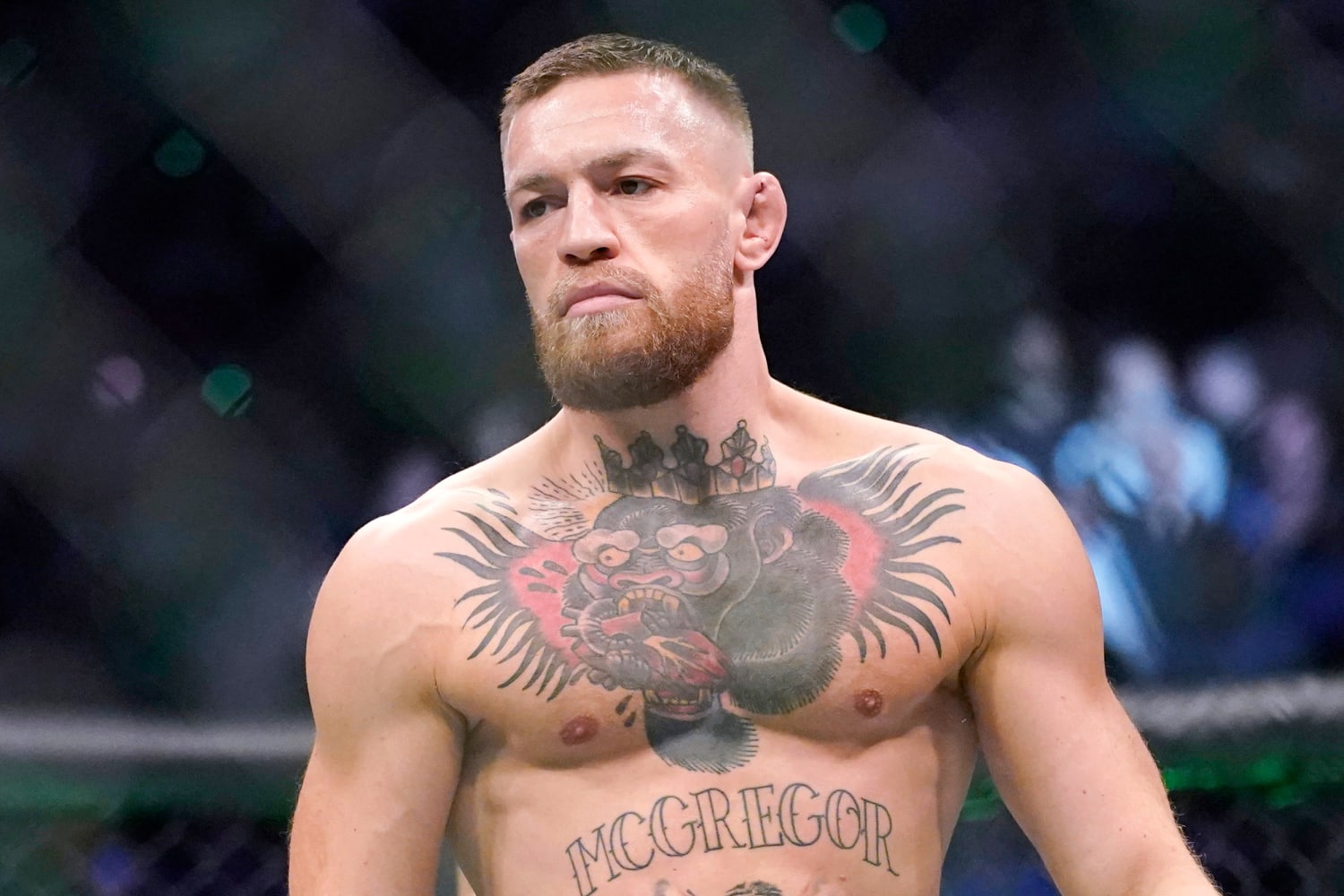 Conor McGregor Delivers Knockout Drama Cause Chaos At Ibiza Pacha Club