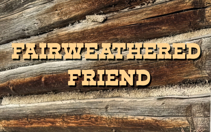 Alex Orbison launches a new creative era with “Fairweathered Friend”