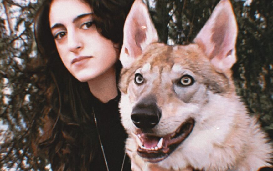 “The Last Wolf” finds Starlight connecting atmospheric pop with animal protection