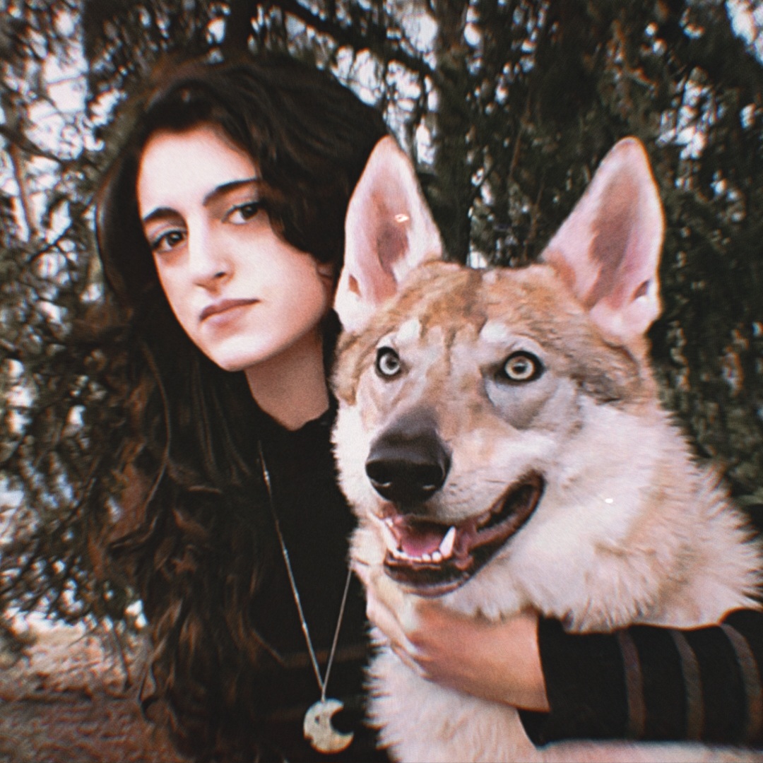 “The Last Wolf” finds Starlight connecting atmospheric pop with animal protection