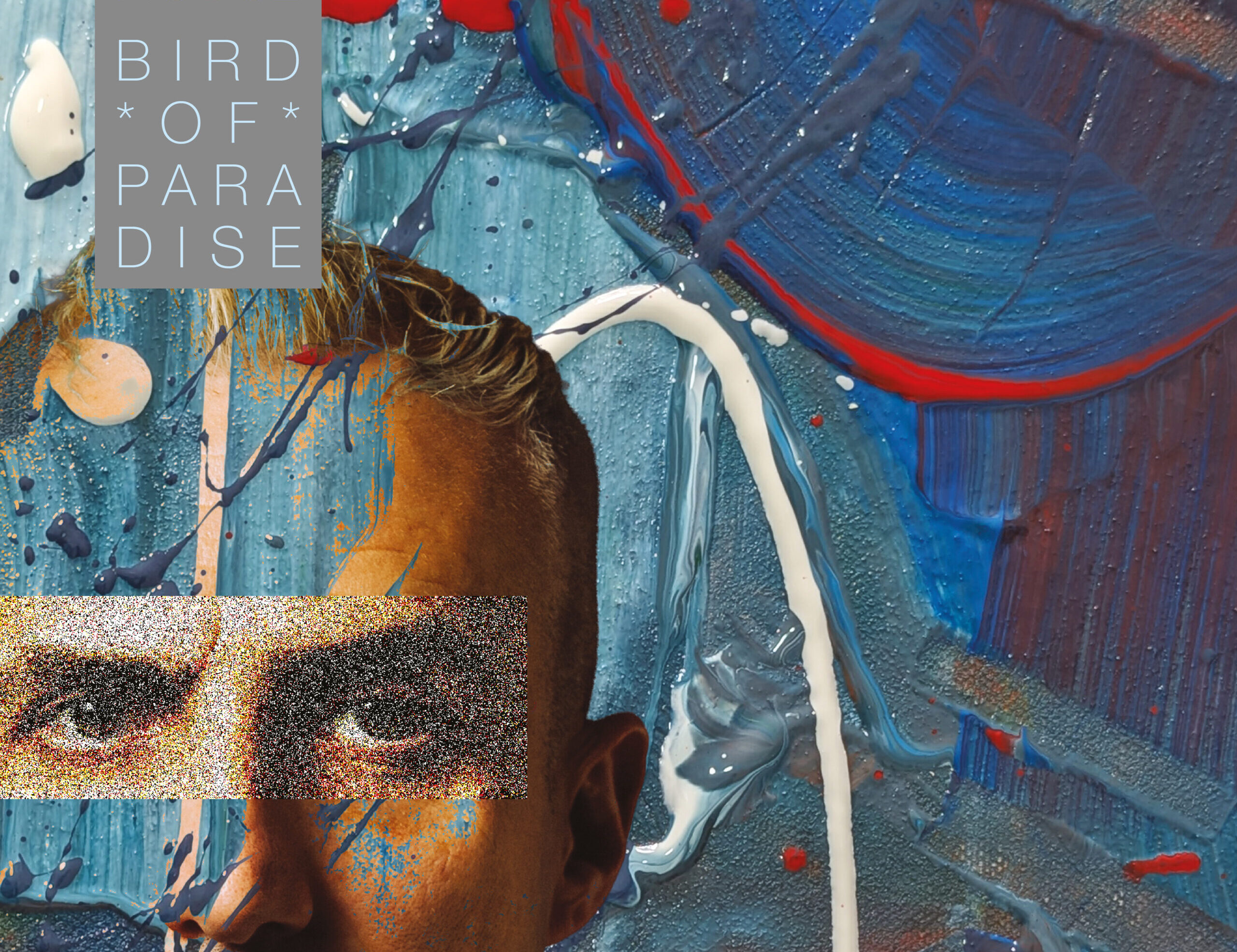 Beauty, desire and consumption bloom in Dan Whitehouse’s new single “Bird of Paradise”