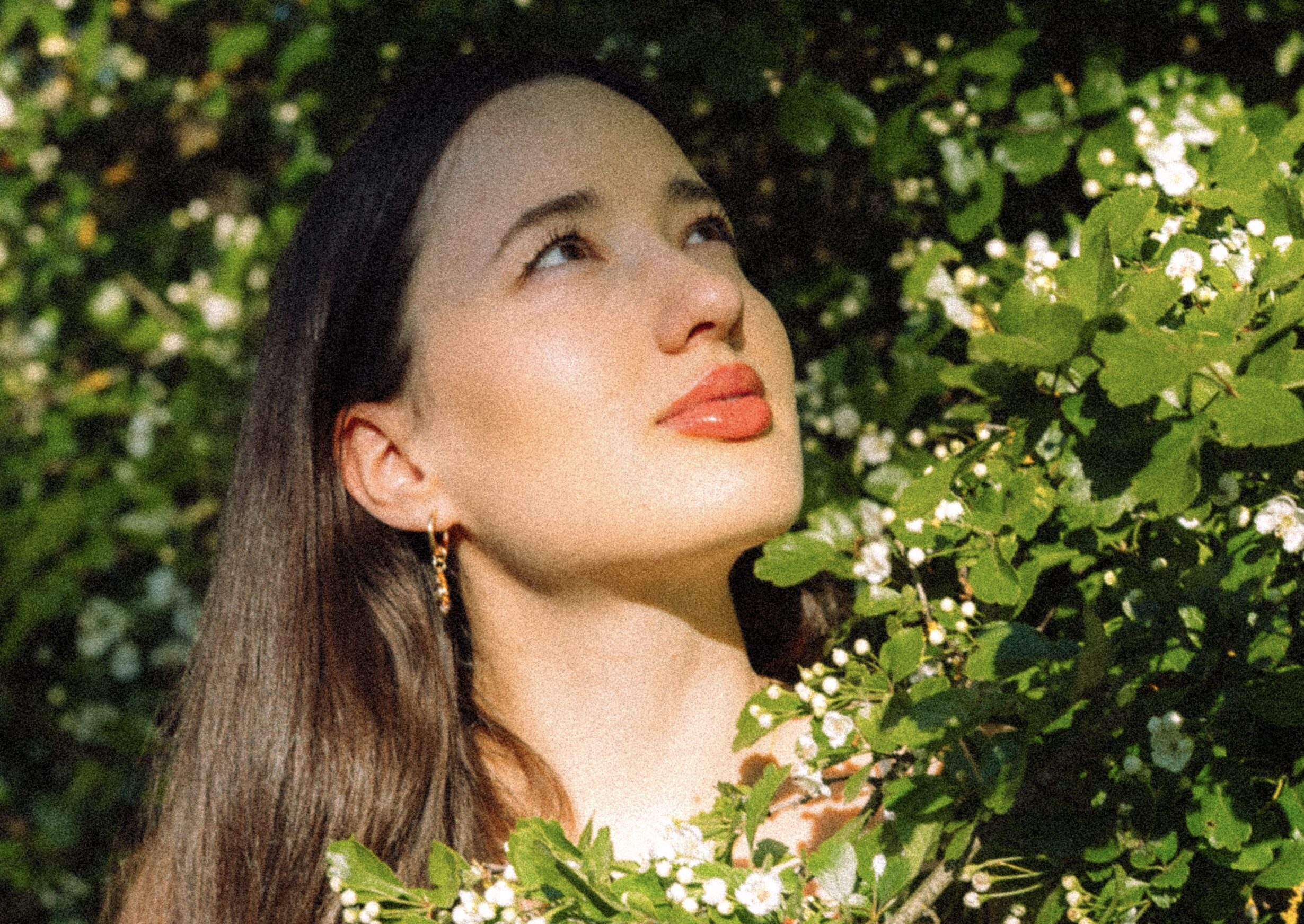 Ellie Benn brings the South Carolina lowcountry to life in “Mayflowers”